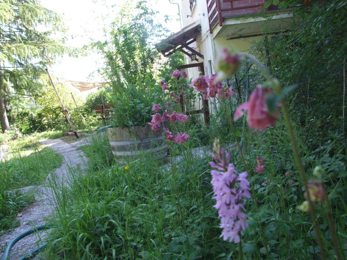 Vacanze Toscane In The Country - Villa Agrifogli Sassetta Exterior foto