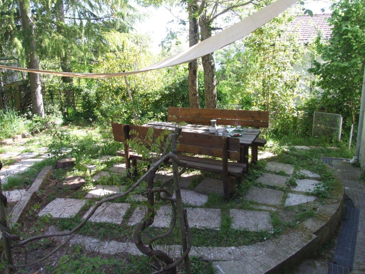 Vacanze Toscane In The Country - Villa Agrifogli Sassetta Exterior foto
