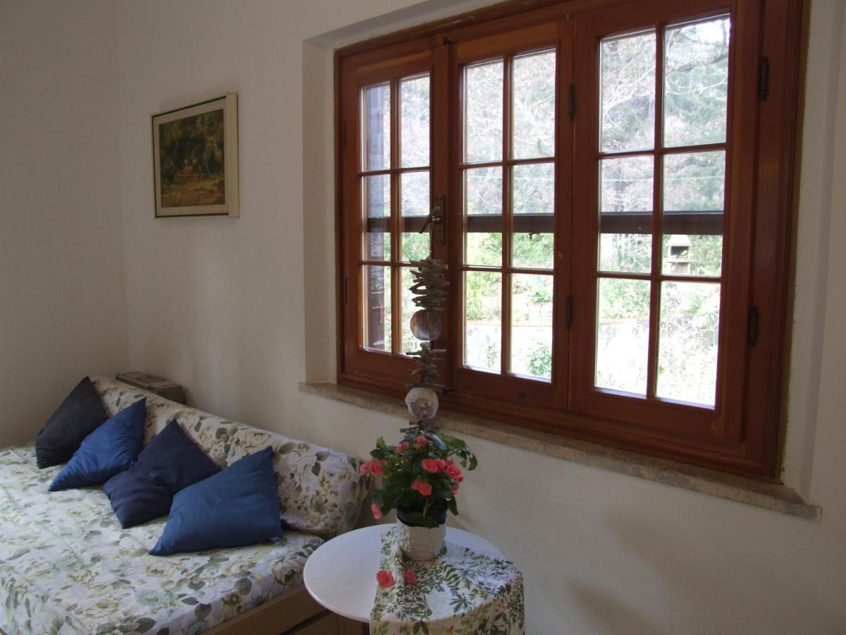 Vacanze Toscane In The Country - Villa Agrifogli Sassetta Exterior foto